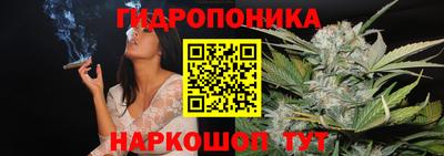spice Гатчина