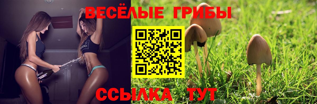 Псилоцибиновые грибы мицелий  Галлюциногенные грибы Psilocybe  Волжск  Вход с VPN 